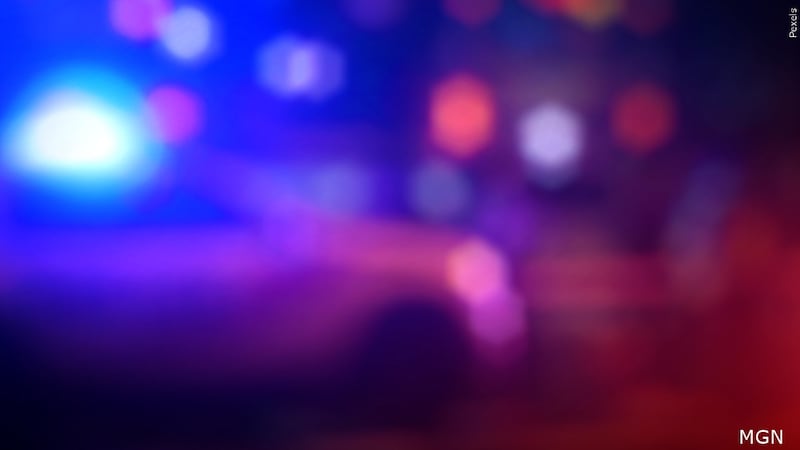 FILE: An 18-year-old was killed after the horse-drawn buggy she was riding in was struck from...