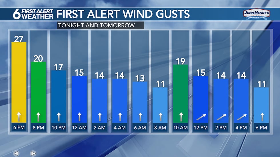 Wind Gust Forecast