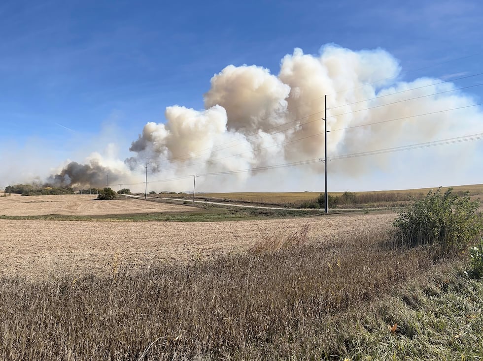 Several fire departments battled a wildfire near 84th Street and Branched Oak Road on Sunday.